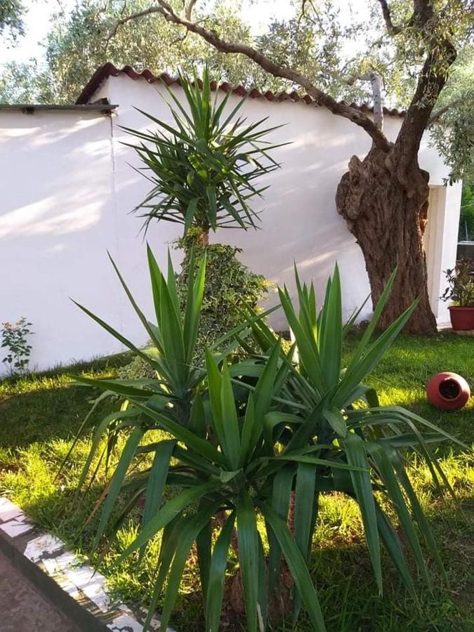 Valia House Thassos Appartement Skála Kallirákhis Buitenkant foto