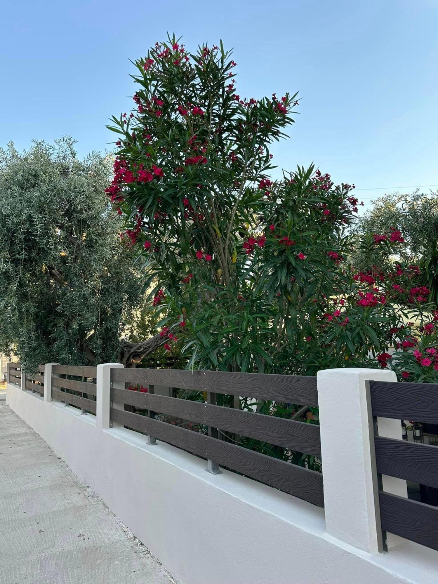 Valia House Thassos Appartement Skála Kallirákhis Buitenkant foto