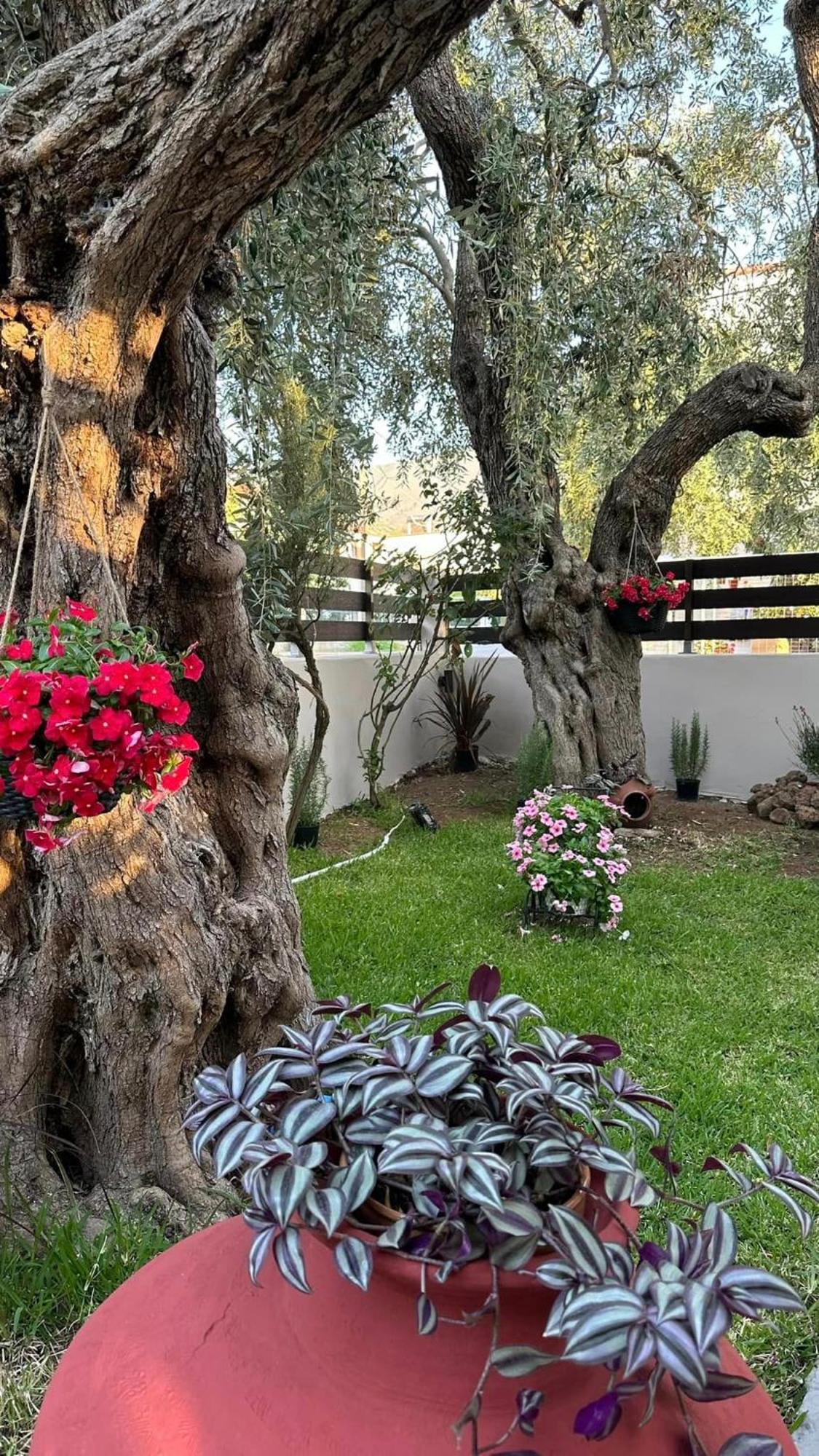 Valia House Thassos Appartement Skála Kallirákhis Buitenkant foto